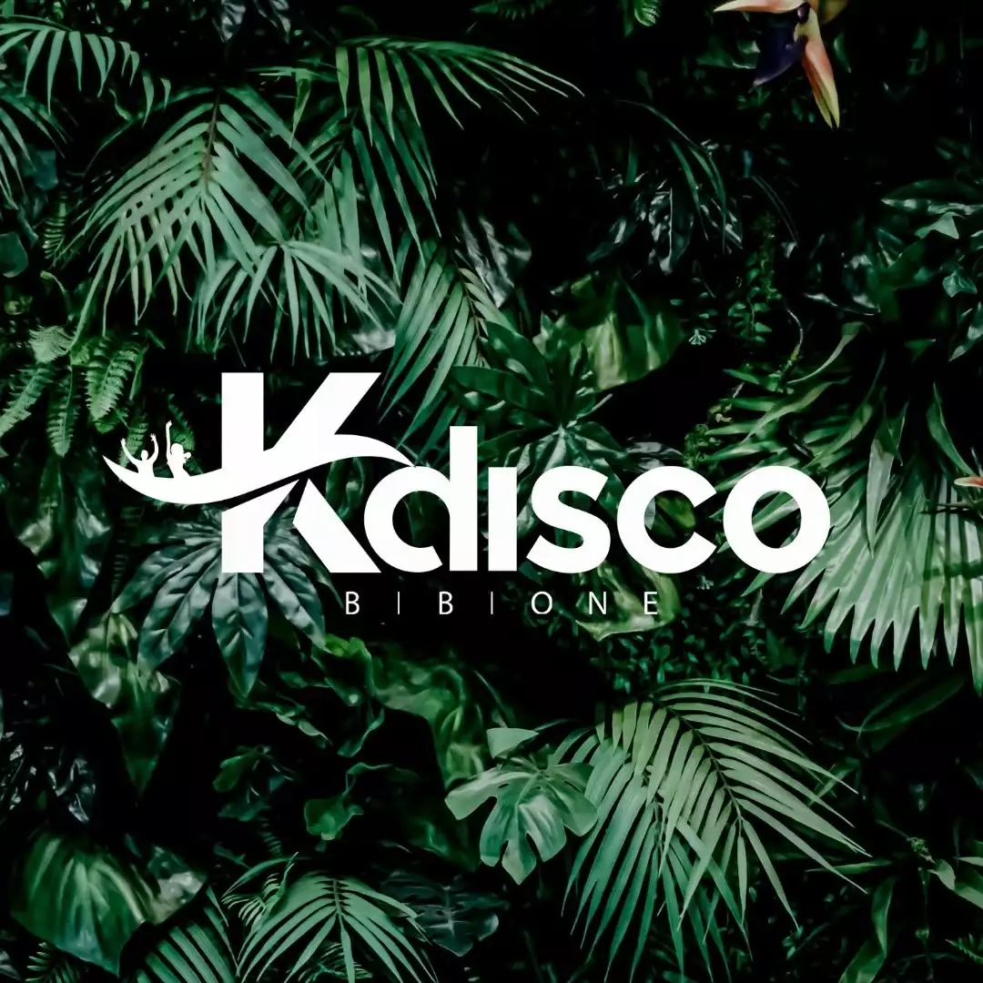 KDisco